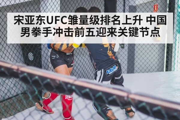 mixed martial arts cage
